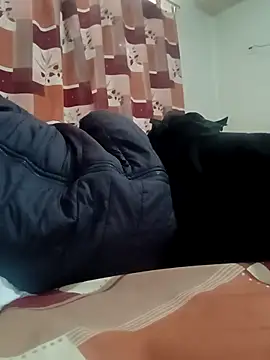 gasp-nvo online show from February 26, 6:42 pm