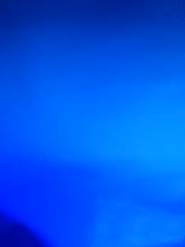 wadmma online show from February 21, 11:39 pm