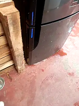 HotC1991 online show from January 12, 3:16 pm