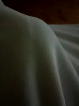 Arabian online show from February 17, 8:47 pm