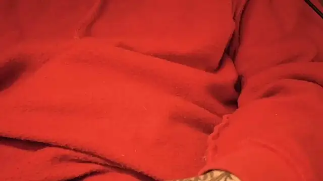 strongdude212 online show from April 17, 9:56 am