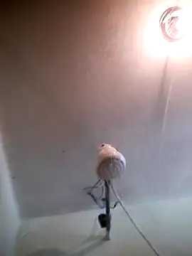 Rodr6812pc online show from October 26, 12:51 pm