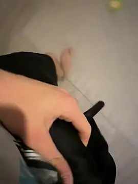 PainterHase online show from October 15, 4:36 pm