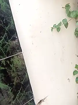 bairobunde online show from April 17, 8:17 am