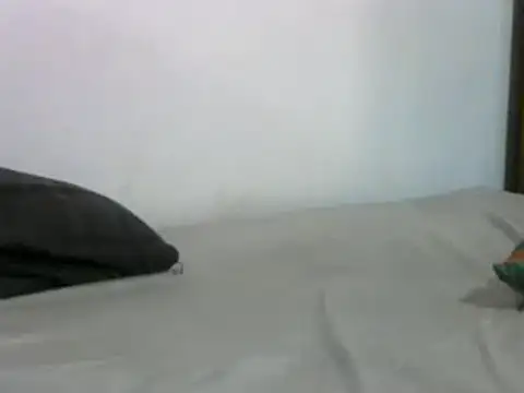 sissydinu online show from March 17, 5:12 am