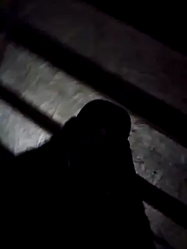 dylanroberts1995 online show from March 5, 4:35 am