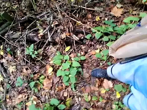 Tomtomlee158 online show from September 25, 5:34 pm