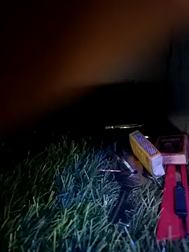 Pushpa773 online show from March 13, 2:44 pm