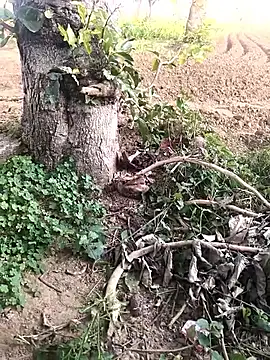 Snapshot of JAZZYS8 chatting on October 16, 11:40 am JAZZYS8 online show from October 16, 11:40 am