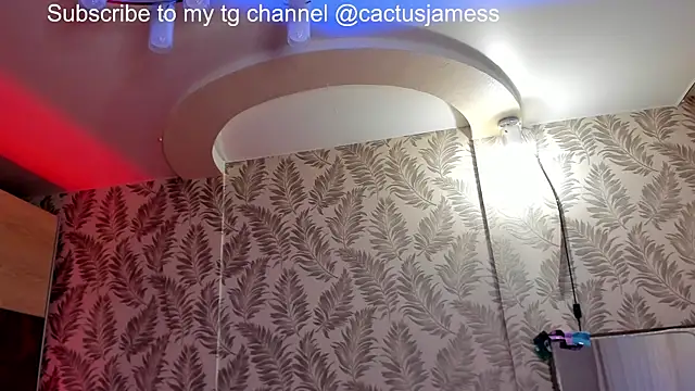 Cactus  James online show from December 5, 10:28 pm