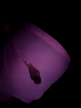 dilu98 online show from October 10, 12:54 pm