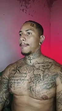 David tatto1 online show from February 12, 4:51 am