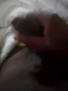 92donis online show from September 30, 3:56 am