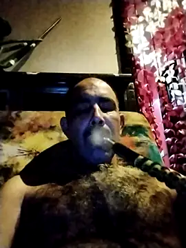 salimbasha online show from October 30, 3:08 am