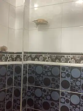 malek xarx  online show from February 24, 1:50 am