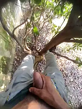 Desi Horny Boys online show from November 15, 9:00 am