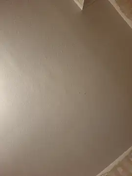 gazb90 online show from April 9, 8:15 pm