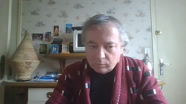 gegevincent online show from February 17, 2:16 pm