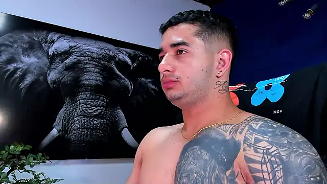 king falconer online show from January 10, 4:17 am