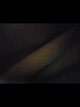 Cnutt310 online show from January 12, 10:41 am