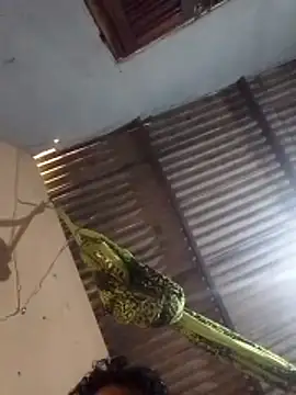 mayevviaqui online show from March 11, 7:43 pm