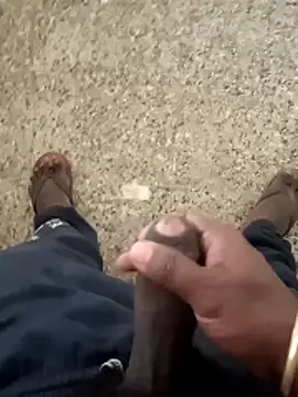 telugu b online show from December 23, 8:34 am