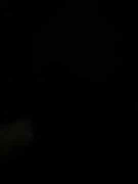 Jcurved online show from August 8, 2:40 am