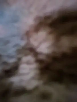 Ravi8879 online show from December 23, 7:17 am