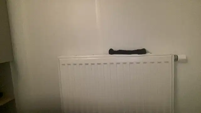 peterpapiNL online show from January 13, 4:33 pm