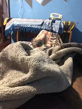 m11a2f3a4z5 online show from March 22, 12:54 pm