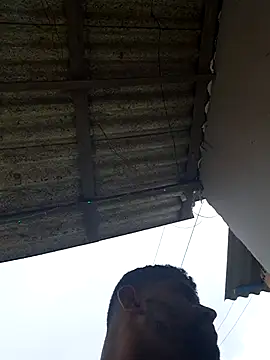 Negodabenga online show from February 20, 4:42 pm