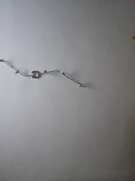 Hamutip online show from October 31, 5:38 pm