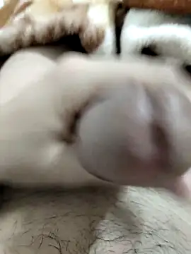 Zepe 12 online show from February 16, 10:19 pm