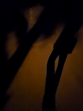 Kunbet online show from April 22, 3:39 pm