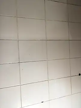 Novinhodotadomg online show from November 13, 9:19 pm