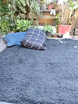 bad wolf28 online show from November 11, 12:21 pm