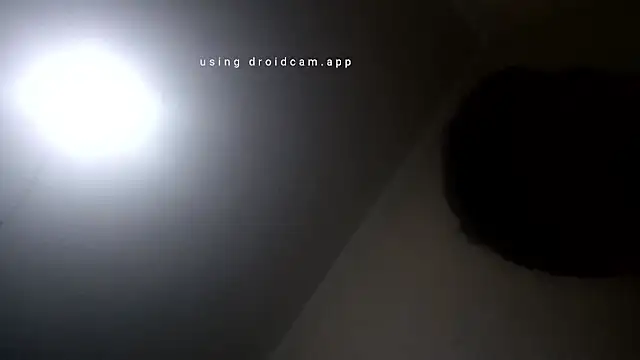 elpoop7305 online show from February 6, 2:41 am