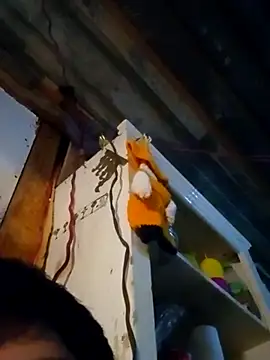 LUISSLEONN0958 online show from September 28, 6:55 am