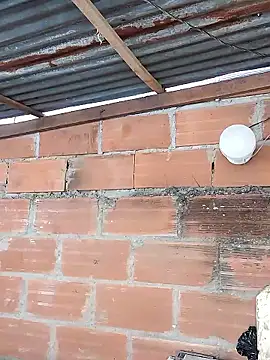 hoteder online show from January 17, 3:15 pm