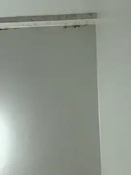 Snapshot of Jacareeeeee chatting on September 27, 9:18 am Jacareeeeee online show from September 27, 9:18 am