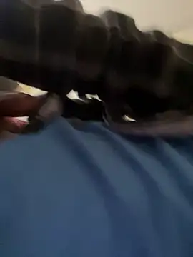 Snapshot of NonunionSilence chatting on September 20, 8:31 pm NonunionSilence online show from September 20, 8:31 pm