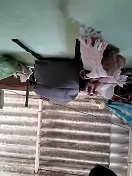 akshant1234 online show from November 8, 5:10 am