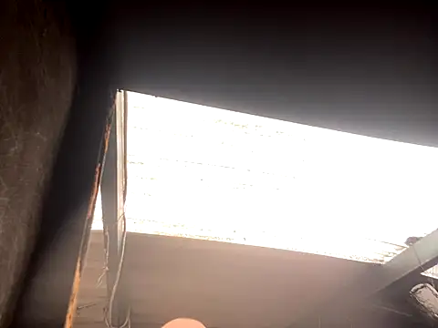 Snapshot of rider239 chatting on October 2, 5:17 pm rider239 online show from October 2, 5:17 pm