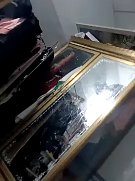 cogiaodam online show from October 14, 4:14 pm