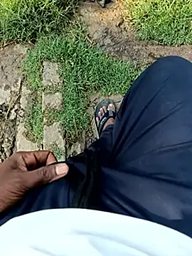 dolphiinn online show from April 11, 11:03 am