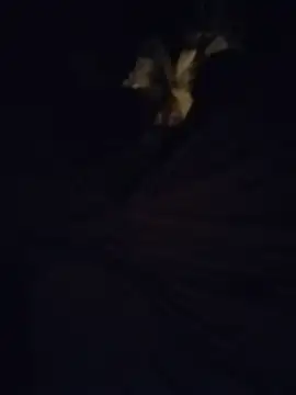 JonMario224 online show from October 22, 8:11 pm