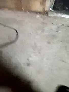 Snapshot of Allinside666 chatting on October 3, 12:54 pm Allinside666 online show from October 3, 12:54 pm