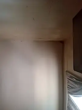 gpjr80 online show from October 4, 3:39 pm