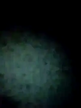 gostoso delas 2 online show from December 3, 4:29 am