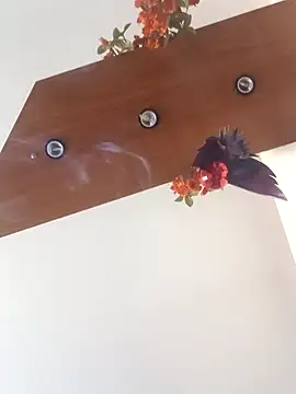 ZORRO8888 online show from September 11, 2:05 pm